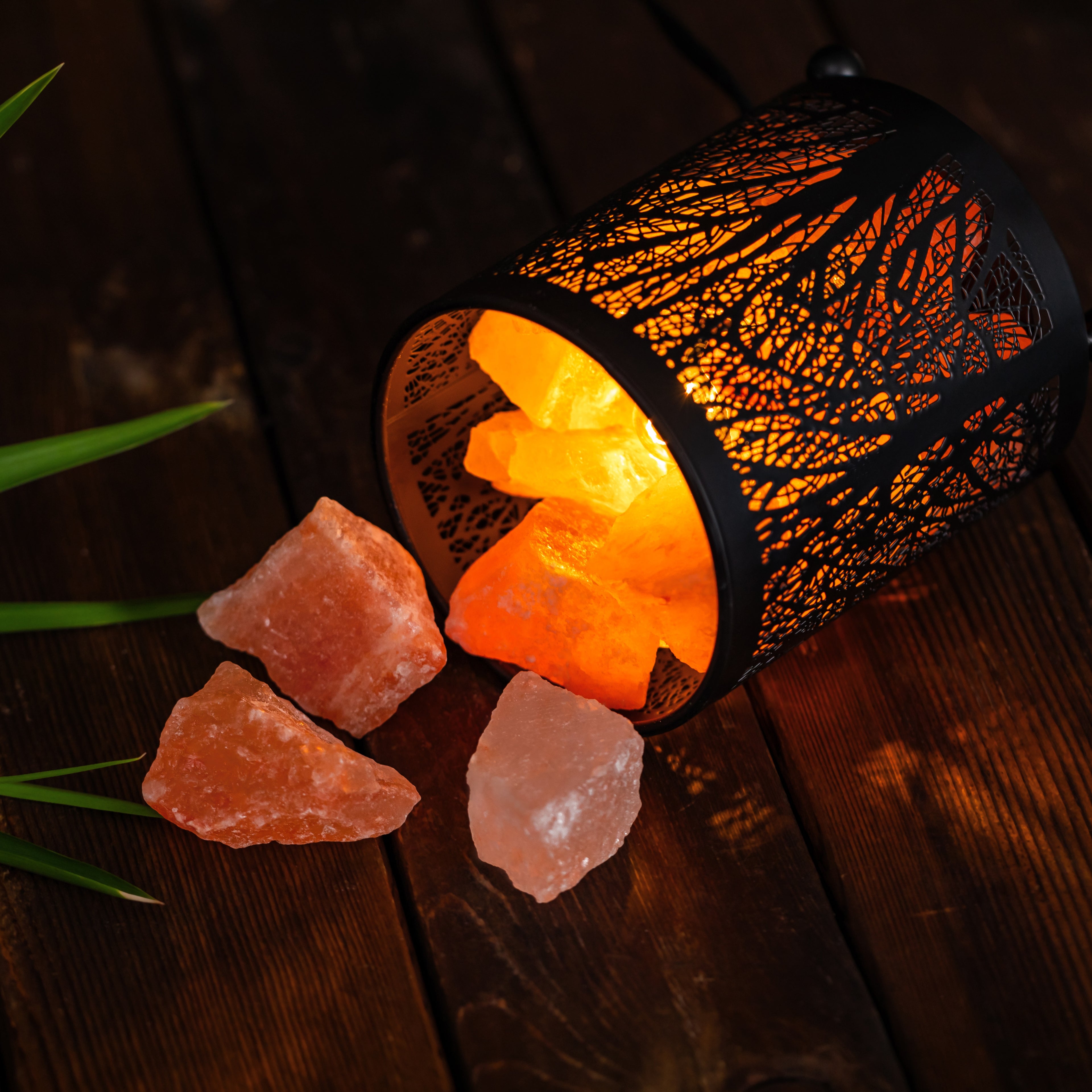 Shadow Tree Himalayan Salt Lamp – Iron Art Series
