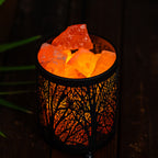 Shadow Tree Himalayan Salt Lamp – Iron Art Series